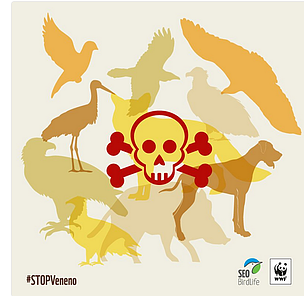 Unos  animales muertos por el uso ilegal del veneno en España en los  últimos 20 años | WWF España