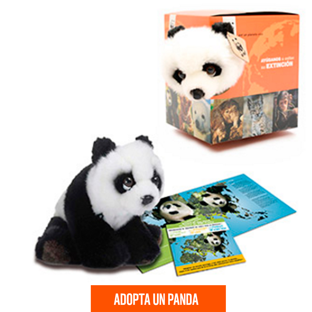 Oso Panda Wwf España 