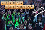 PandaPalabra<br />© WWF